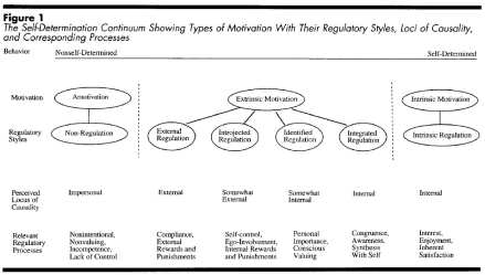 Self Determination Continuum